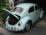 Name:  back.jpg
Views: 334
Size:  4.1 KB