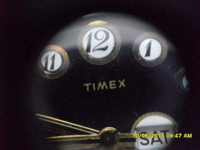 Name:  SDC13282 (Medium).jpg
Views: 761
Size:  27.5 KB