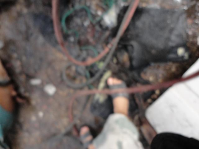 Name:  DSC00936.jpg
Views: 2118
Size:  25.3 KB