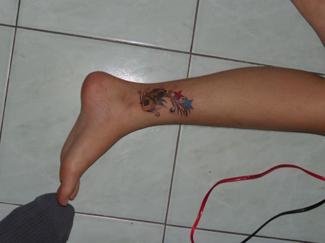 Name:  DSCN3613.jpg
Views: 1326
Size:  24.1 KB