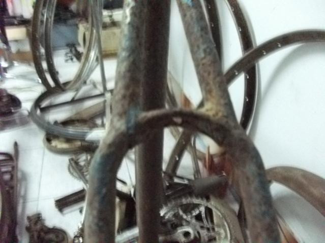 Name:  DSCF1985.jpg
Views: 244
Size:  37.9 KB