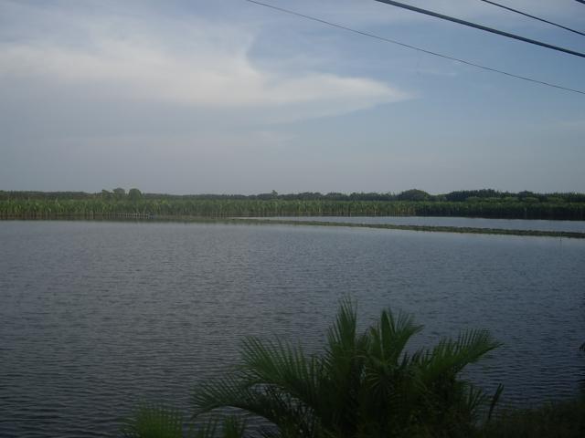 Name:  IMGP1732.jpg
Views: 104
Size:  27.8 KB