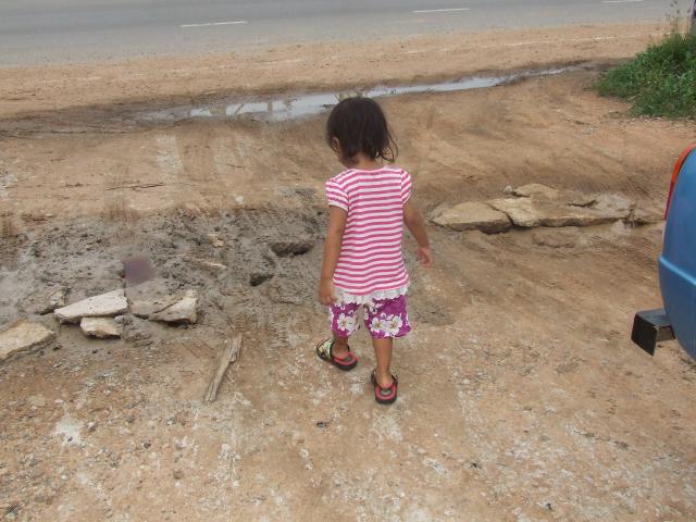 Name:  DSCF8965.jpg
Views: 809
Size:  54.4 KB