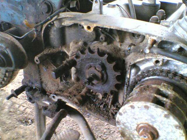 Name:  23042011(006).jpg
Views: 3641
Size:  55.4 KB