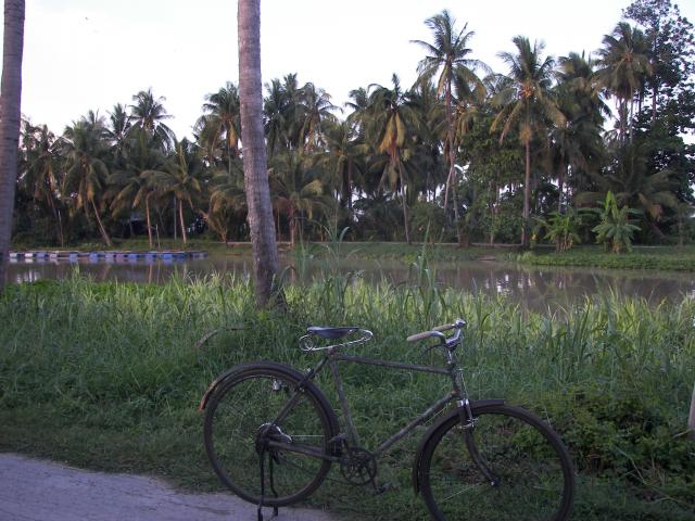 Name:  100_3442.jpg
Views: 349
Size:  61.6 KB