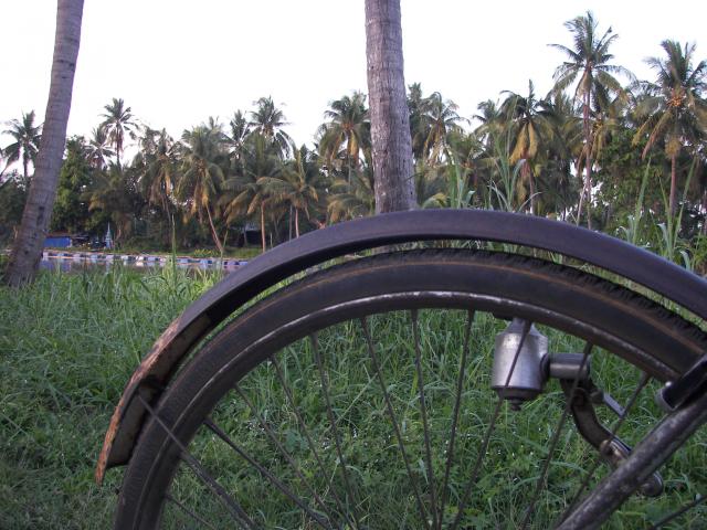 Name:  100_3443.jpg
Views: 189
Size:  62.6 KB