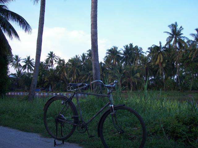 Name:  100_3440.jpg
Views: 182
Size:  51.1 KB