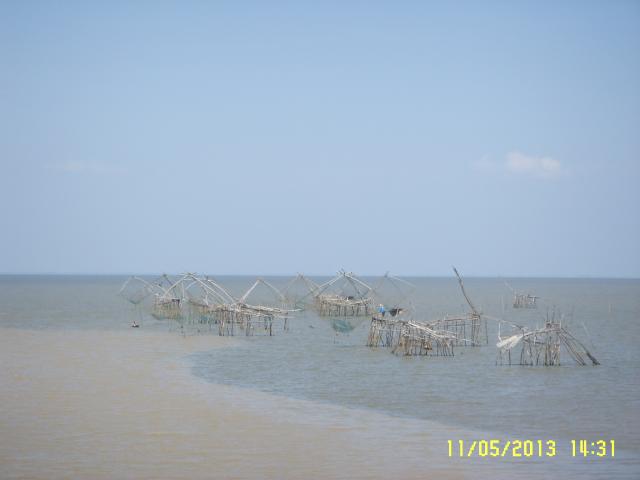 Name:  SSL13784.jpg
Views: 264
Size:  17.7 KB