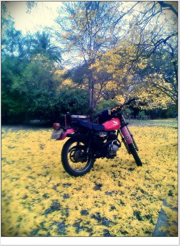Name:  26032011(021).jpg
Views: 126
Size:  52.4 KB