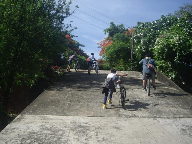 Name:  IMGP1820.jpg
Views: 124
Size:  63.2 KB