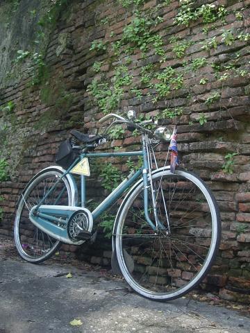 Name:  IMGP1839.jpg
Views: 125
Size:  48.5 KB