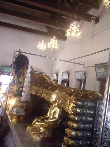 Name:  IMGP1851.jpg
Views: 124
Size:  29.9 KB