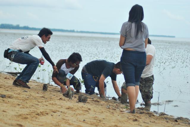 Name:  DSC_8470.jpg
Views: 284
Size:  40.3 KB