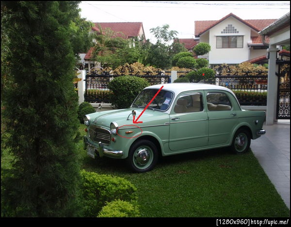 Name:  p4230104.jpg
Views: 981
Size:  104.3 KB