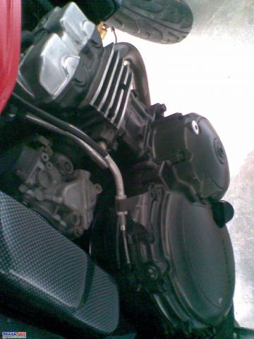 Name:  1305525719.jpg
Views: 1144
Size:  25.0 KB