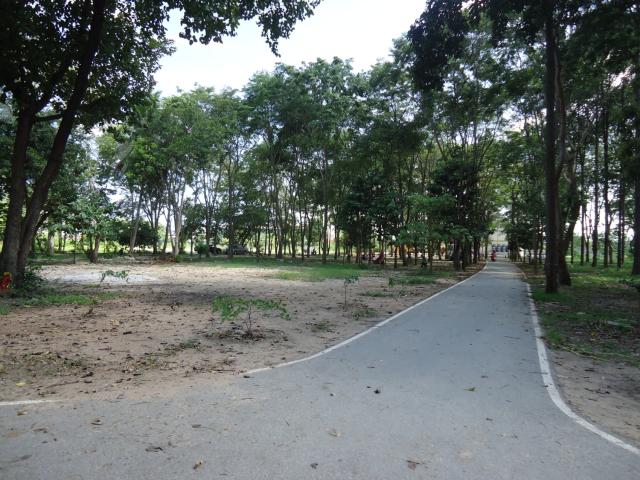Name:  DSC01362.jpg
Views: 126
Size:  71.4 KB