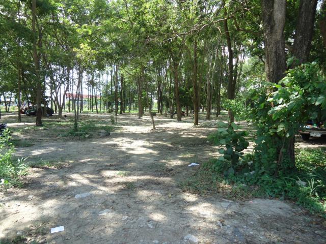 Name:  DSC01366.jpg
Views: 136
Size:  85.3 KB
