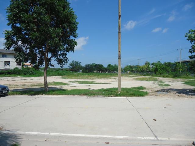 Name:  DSC01365.jpg
Views: 115
Size:  41.9 KB