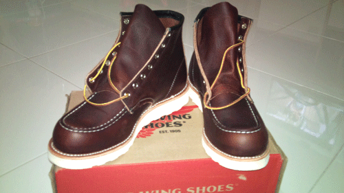 Name:  DSC02547.gif
Views: 2483
Size:  82.4 KB