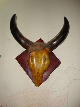 Name:  DSC04857.JPG
Views: 2114
Size:  44.0 KB