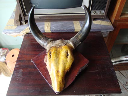 Name:  DSC04883.JPG
Views: 2813
Size:  60.3 KB