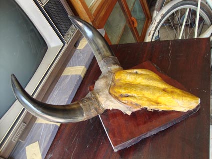 Name:  DSC04884.JPG
Views: 1415
Size:  66.0 KB