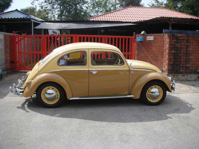 Name:  Picture 188.jpg
Views: 3775
Size:  55.9 KB