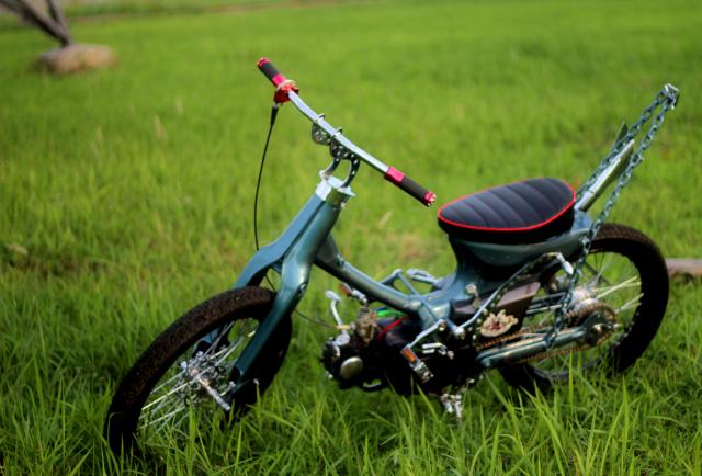 Name:  MG_6096.jpg
Views: 1790
Size:  45.9 KB