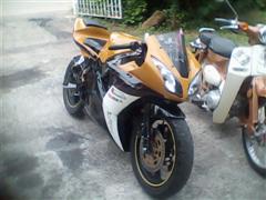 Name:  DSC_0000039 (Medium) (WinCE).jpg
Views: 860
Size:  10.4 KB