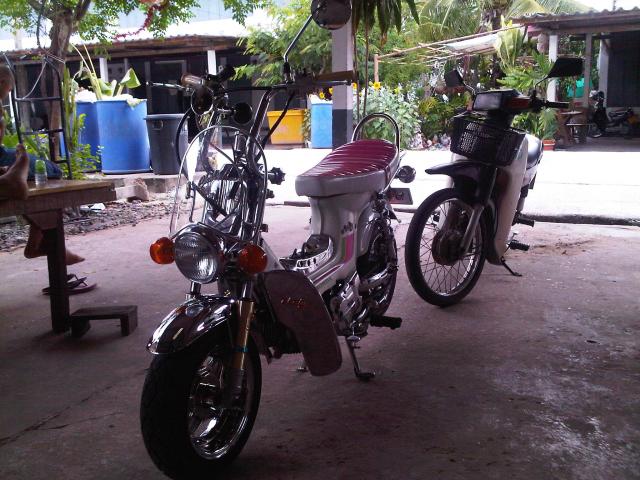 Name:  IMG00236-20110530-1519.jpg
Views: 224
Size:  66.1 KB