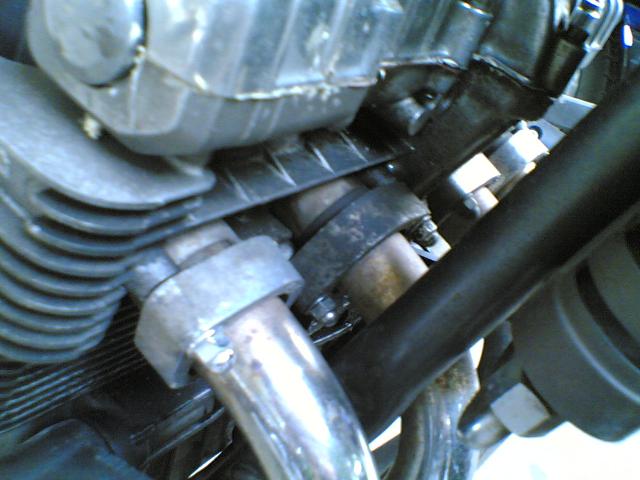 Name:  01062011(026).jpg
Views: 1556
Size:  42.6 KB