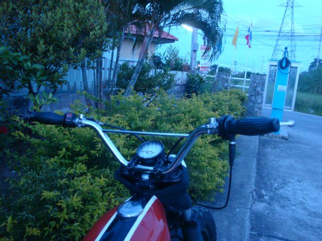Name:  DSC04375.jpg
Views: 1178
Size:  60.3 KB