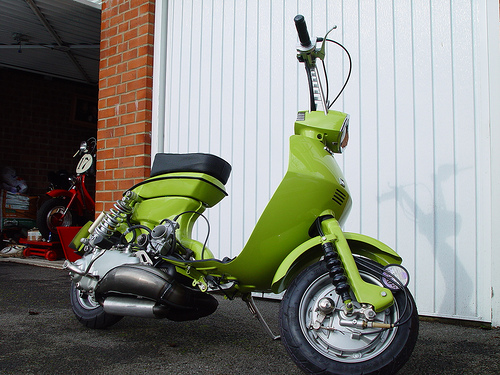 Name:  2753952025_cc1a41ffbd.jpg
Views: 676
Size:  129.5 KB