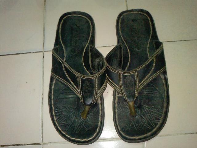 Name:  P2106_02-06-11.jpg
Views: 703
Size:  36.8 KB