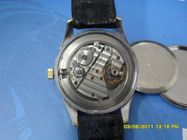 Name:  SDC13738 (Medium).jpg
Views: 657
Size:  36.6 KB
