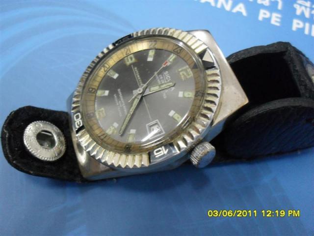 Name:  SDC13750 (Medium).jpg
Views: 655
Size:  34.4 KB