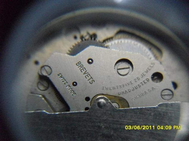 Name:  SDC13781 (Medium).jpg
Views: 638
Size:  34.1 KB