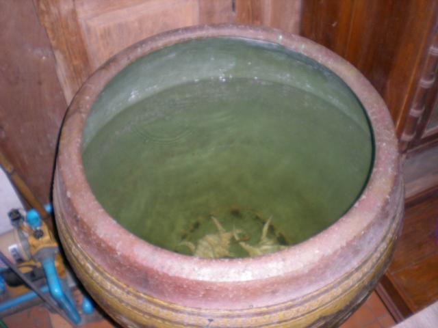 Name:  DSCN7714.jpg
Views: 1725
Size:  31.7 KB