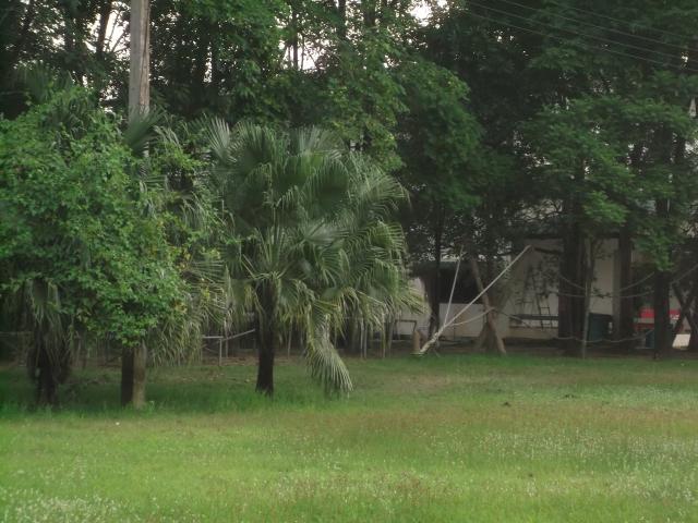 Name:  DSCF1374.jpg
Views: 171
Size:  55.2 KB