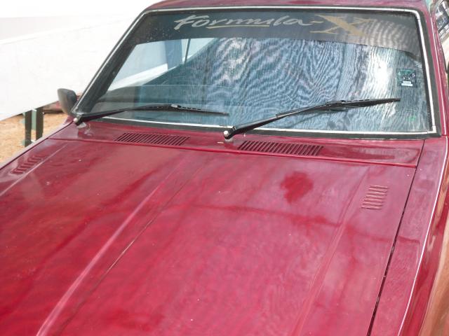 Name:  SDC12484.jpg
Views: 3951
Size:  43.1 KB