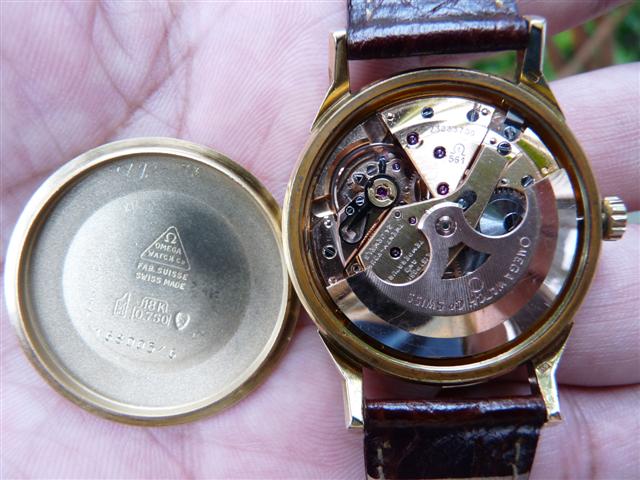 Name:  P1130187 (Small).JPG
Views: 3654
Size:  62.6 KB