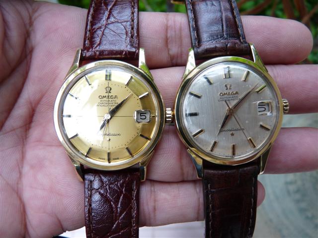 Name:  P1130191 (Small).JPG
Views: 3736
Size:  58.2 KB