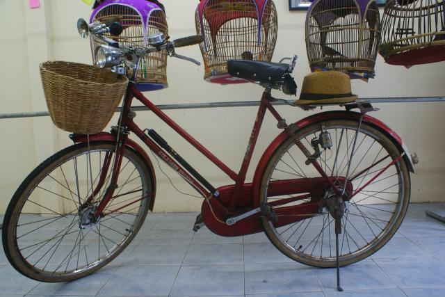 Name:  DSC08994.jpg
Views: 443
Size:  52.7 KB