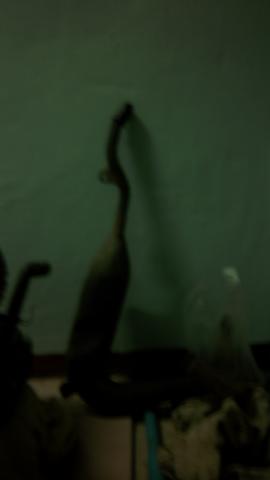 Name:  100_0081.jpg
Views: 329
Size:  5.9 KB