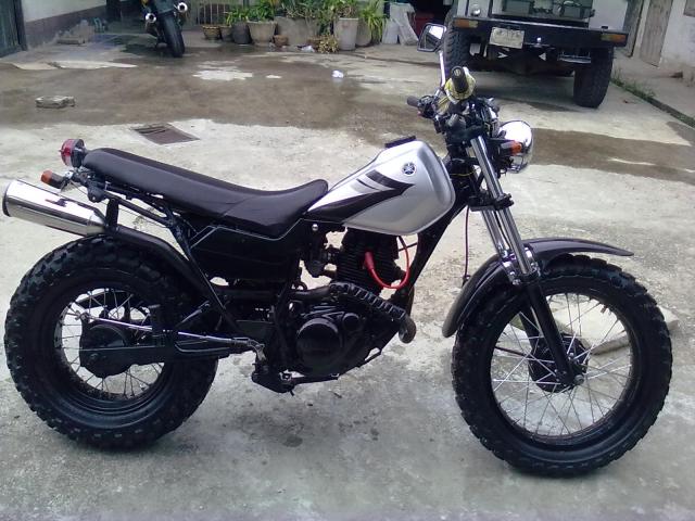 Name:  dong 100.jpg
Views: 1207
Size:  59.8 KB