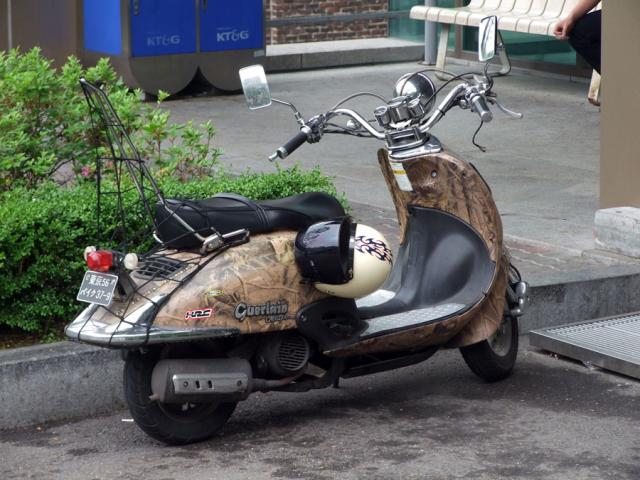 Name:  2011_06130015.jpg
Views: 1935
Size:  58.5 KB