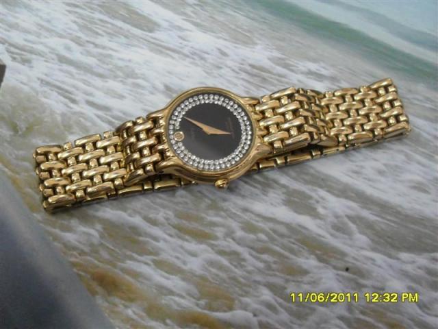 Name:  SDC13986 (Medium).jpg
Views: 975
Size:  45.0 KB