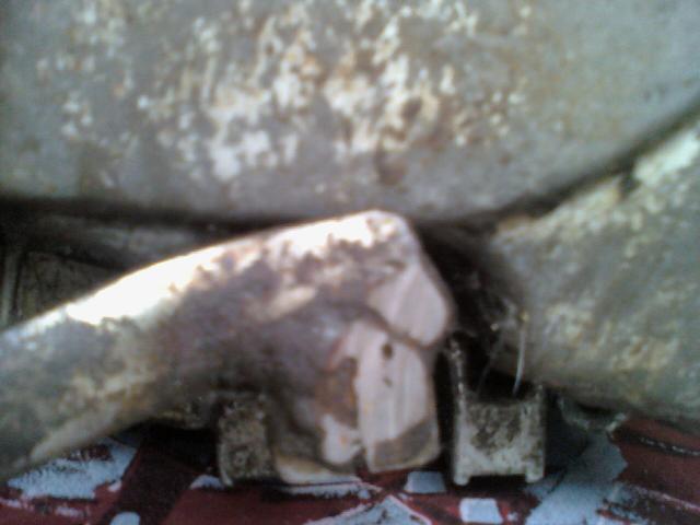 Name:  110611_171934.jpg
Views: 336
Size:  30.9 KB