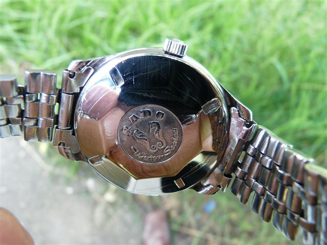 Name:  P1130755 (Small).JPG
Views: 3980
Size:  54.6 KB