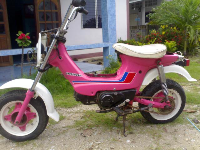Name:  12062011284.jpg
Views: 765
Size:  54.0 KB
